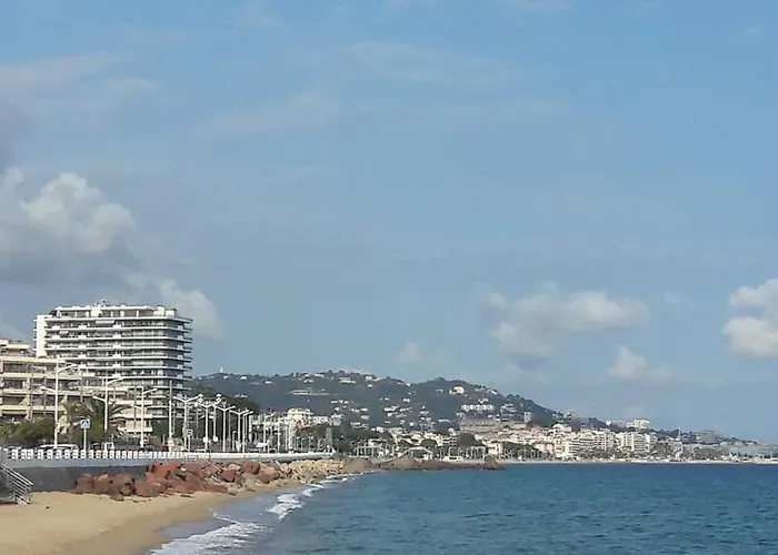Agreable D'hote A 50m De La Pansiyon Cannes